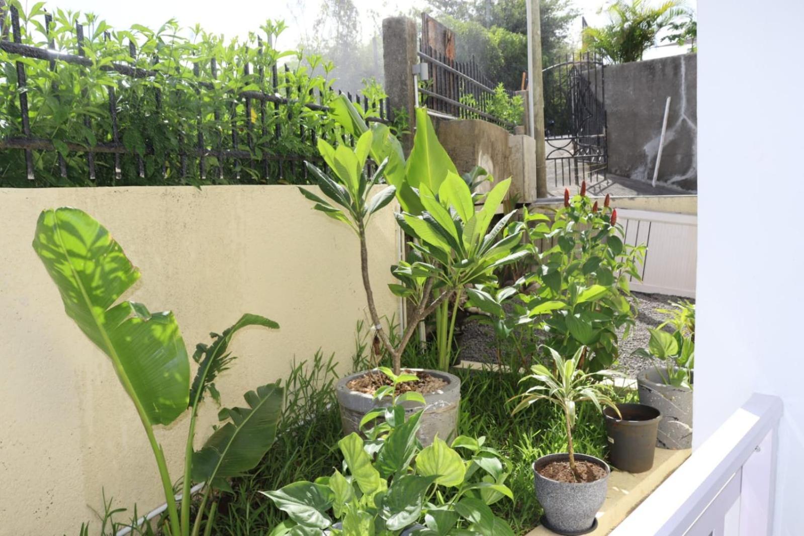 Garden Suite Trou d'Eau Douce Exterior foto
